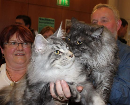 Anakin und Rasputin zum Frühlingsfest der Samtpfoten in Borna