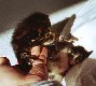 Cheyenne mit zwei Wochen und zwei Tagen / two weeks and two days old
