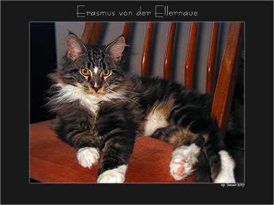 Erasmus mit vier Monaten / four months old