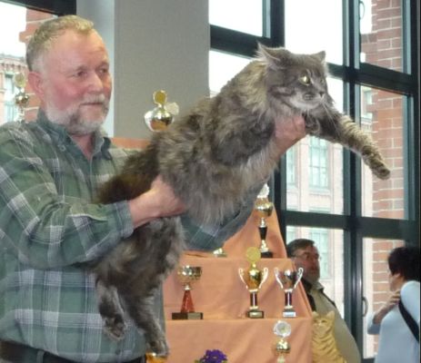 Cyril zum Frühlingsfest der Samtpfoten in Flöha