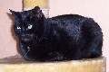 Mein Freund Max./My friend Max.