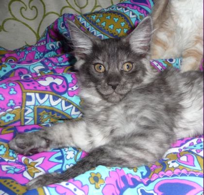 Rasputin